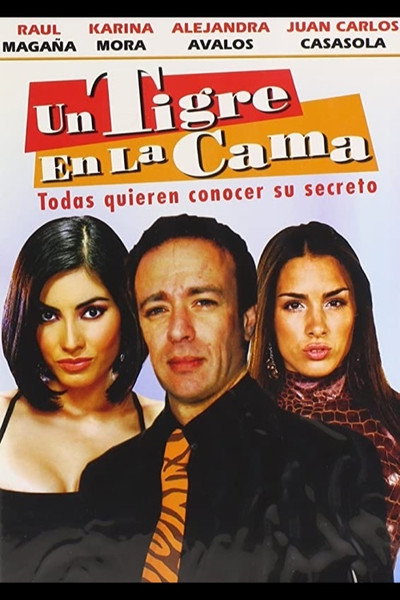 Póster de A Tiger in Bed
