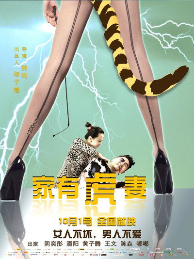 Póster de A Tiger Wife