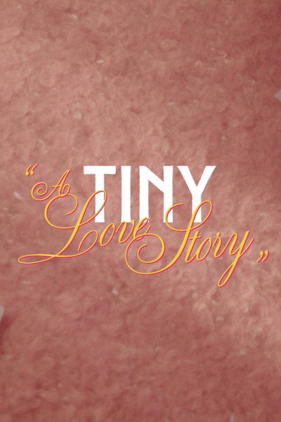 Póster de A Tiny Love Story
