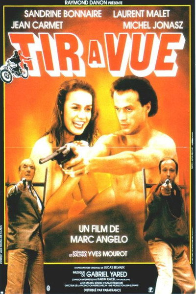 Póster de A tiro limpio