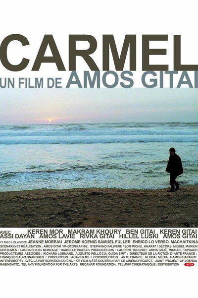 Póster de A través del Carmel