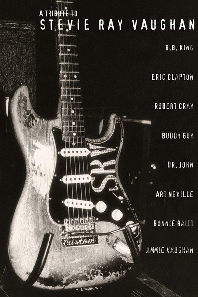 Póster de A Tribute to Stevie Ray Vaughan