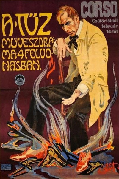 Póster de A Tüz