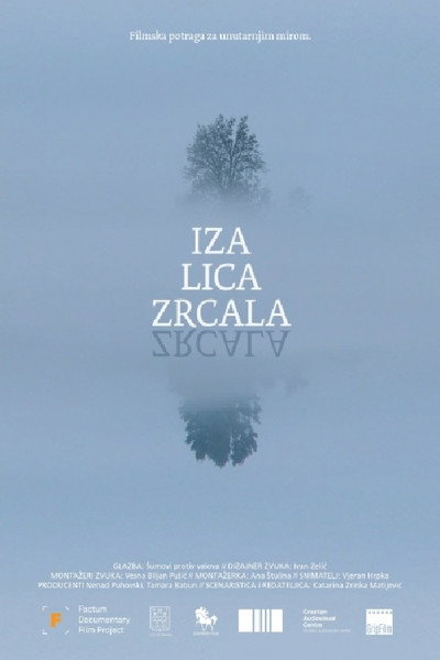 Póster de A Two Way Mirror