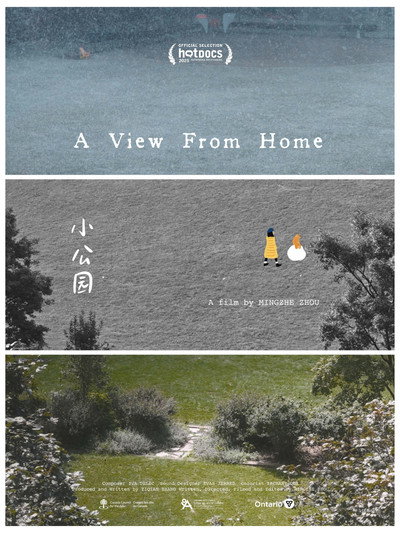 Póster de A View from Home