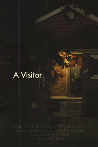 Póster de A Visitor