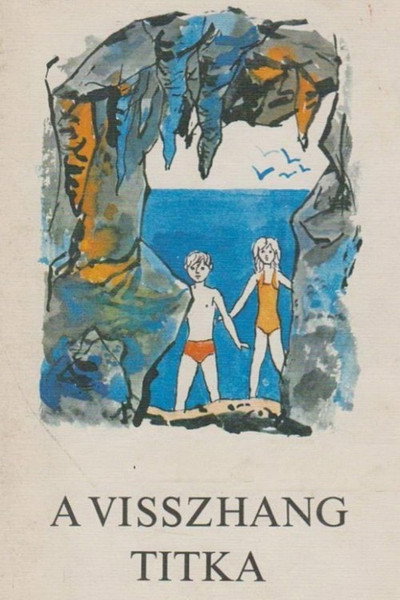 Póster de A visszhang titka