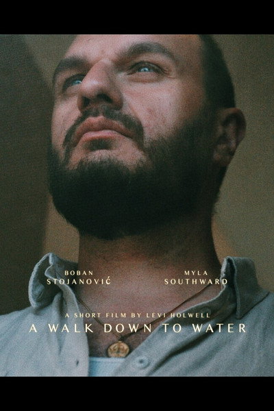 Póster de A Walk Down to Water