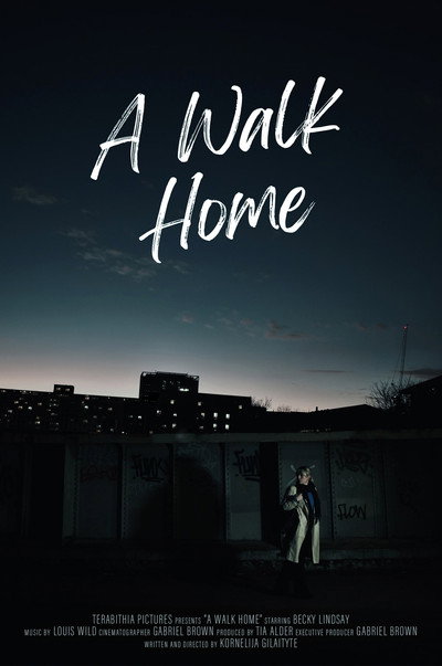 Póster de A Walk Home