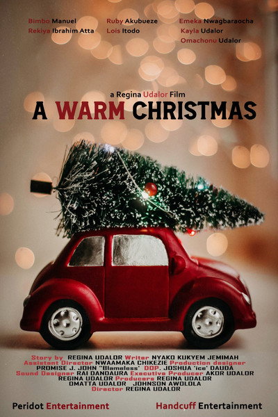Póster de A Warm Christmas
