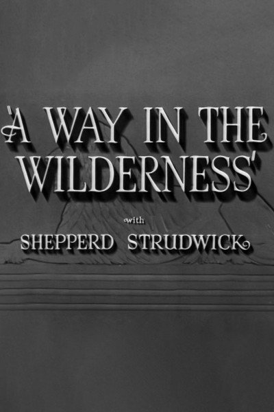 Póster de A Way in the Wilderness