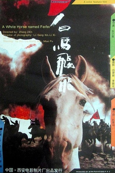 Póster de A White Horse Named Feifei