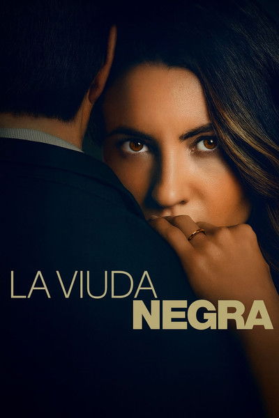 Póster de A Widow's Game