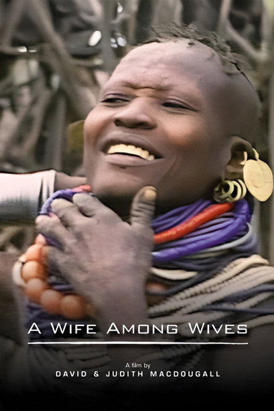 Póster de A Wife Among Wives