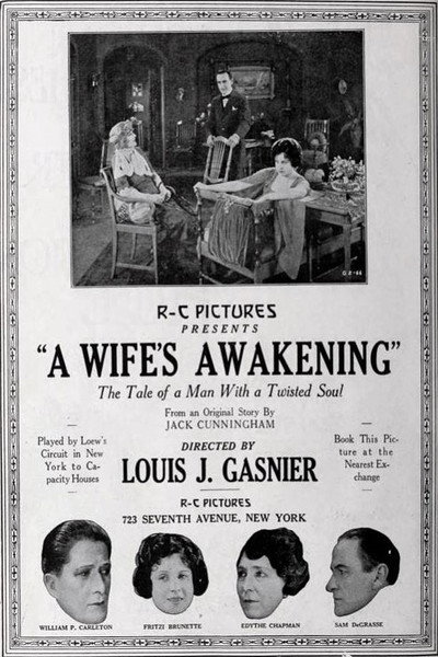 Póster de A Wife's Awakening