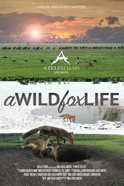 Póster de A Wild Fox Life