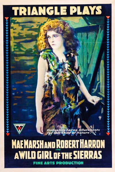Póster de A Wild Girl of the Sierras