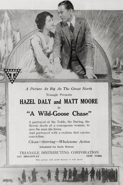 Póster de A Wild Goose Chase