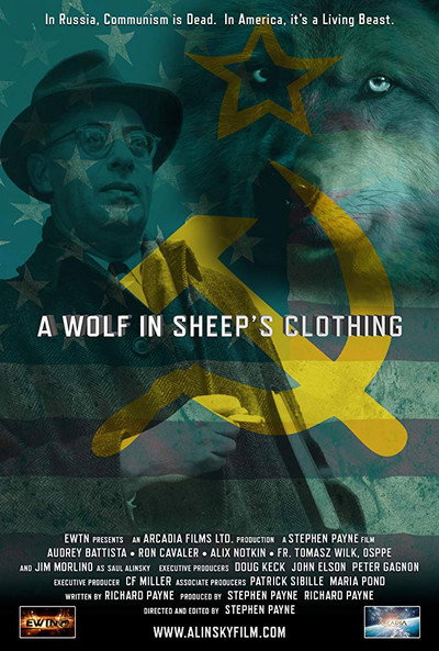 Póster de A Wolf in Sheep's Clothing