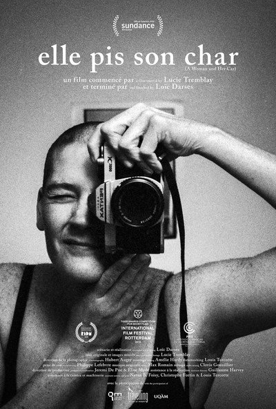 Póster de A Woman and Her Car