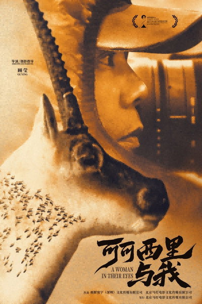 Póster de A Woman in Their Eyes