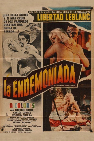 Póster de A Woman Possessed