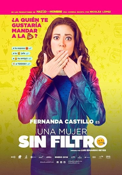 Póster de A Woman with No Filter