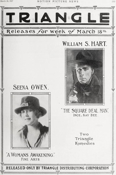 Póster de A Woman's Awakening