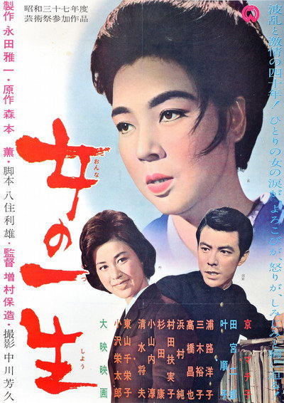 Póster de A Woman's Life