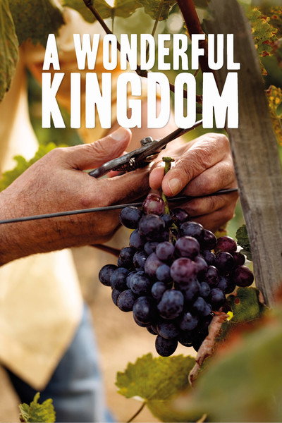 Póster de A Wonderful Kingdom