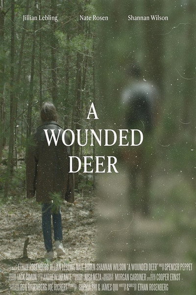 Póster de A Wounded Deer