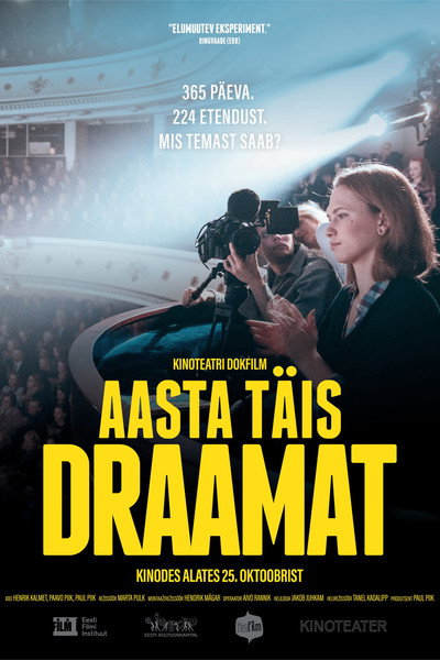 Póster de A Year Full of Drama