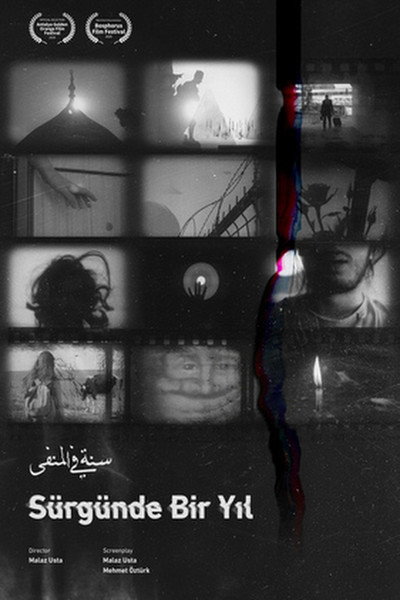 Póster de A Year in Exile
