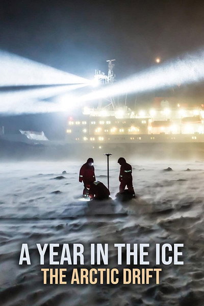 Póster de A Year in the Ice: The Arctic Drift
