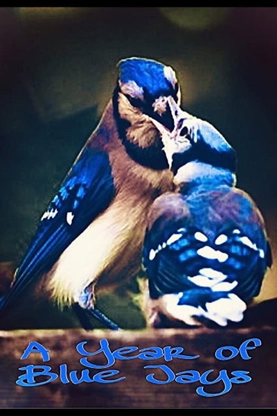 Póster de A Year of Blue Jays