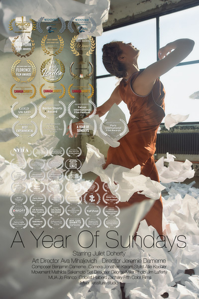 Póster de A Year of Sundays