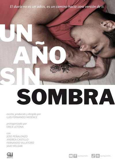 Póster de A Year Without a Shadow