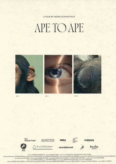 Póster de Aap tot Aap