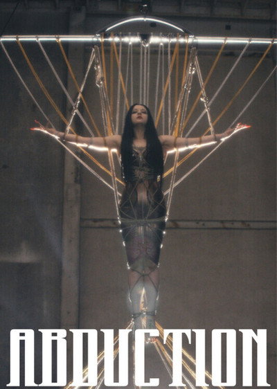 Póster de Abduction