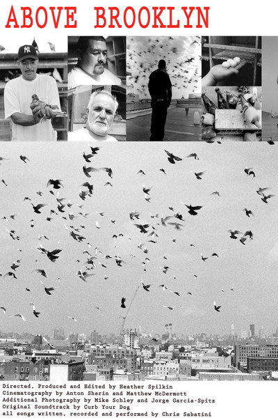 Póster de Above Brooklyn