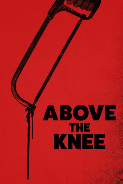 Póster de Above the Knee