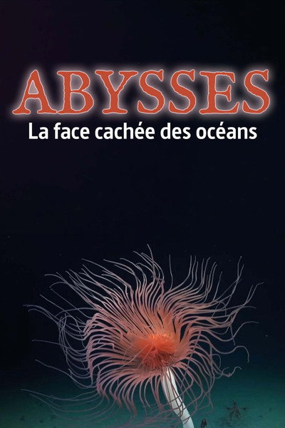 Póster de Abysses, la face cachée des océans