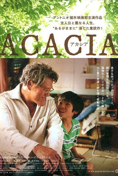 Póster de Acacia