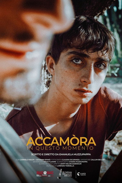 Póster de Accamòra (Right Now)