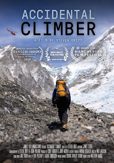 Póster de Accidental Climber