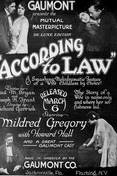 Póster de According to Law