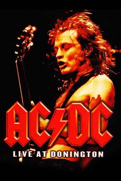 Póster de AC/DC: Live at Donington