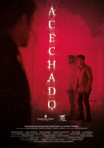 Póster de Acechado
