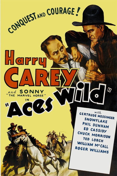 Póster de Aces Wild