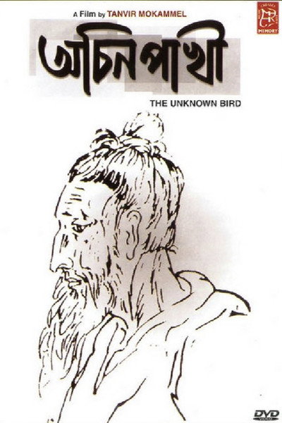 Póster de Achin Pakhi